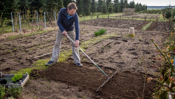 Gärtner Peter Rasch zieht Furchen auf einem Beet. © NDR Foto: Udo Tanske