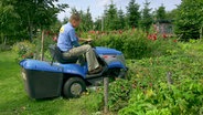 Erdbeeren ernten Erdbeeren ernten
