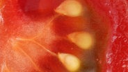 Aufgeschnittene Tomate © xblickwinkel/M.xLenkex 