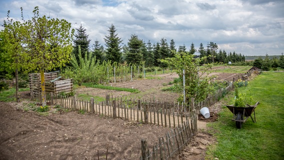 ein Garten mit Staketenzaun  Foto: Udo Tanske