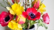 Ein Blumenstrauß mit Narzissen, Ranunkeln und Tulpen sowie Zweigen von der Heidelbeere und Forsythie. © NDR Foto: Anja Deuble