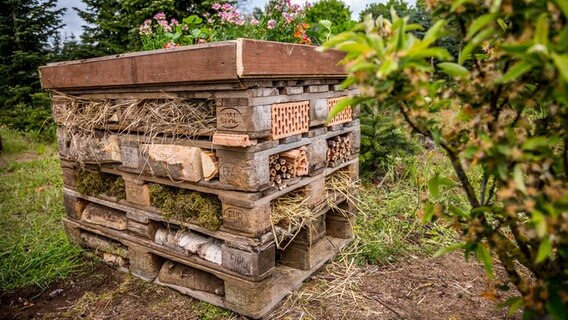 Aus Europaletten wurde ein Insektenhotel mit verschiedenen Füllmaterialien bebaut. © NDR Foto: Udo Tanske