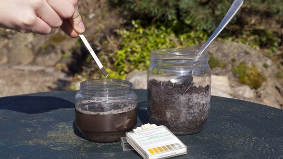 Test des pH-Werts von Boden mittels Lackmus-Papier © imago images / blickwinke 