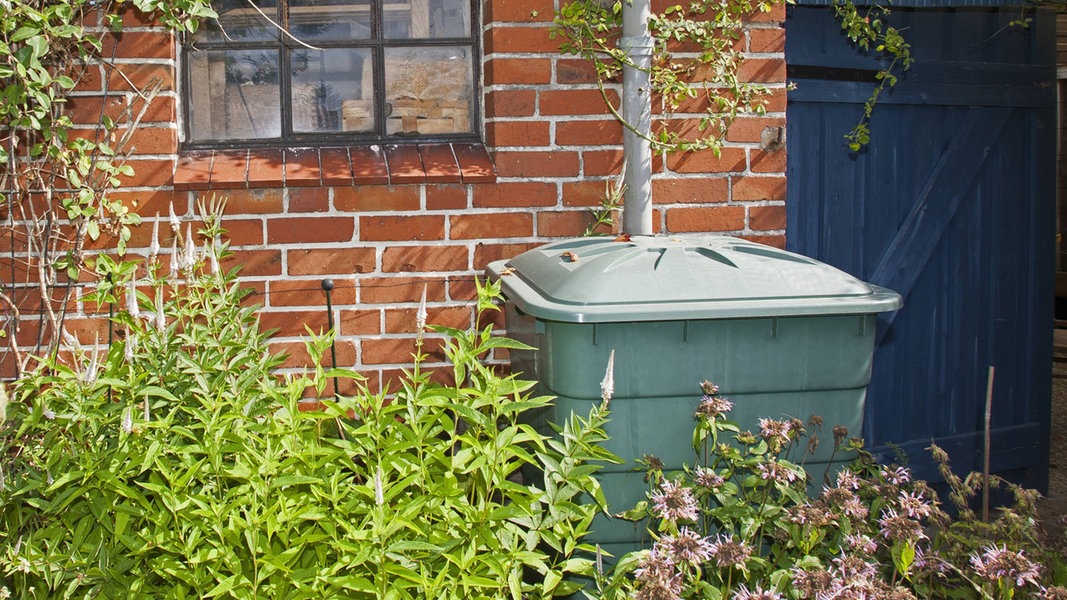 Regenwasser Fur Den Garten Sammeln Ndr De Ratgeber Garten
