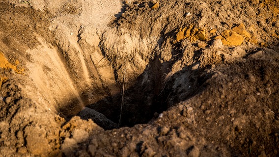 Ein großes Loch für den Rhabarber. © NDR Foto: Udo Tanske