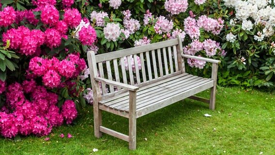 Eine Bank vor Rhododendren. © fotolia Foto: Debu55y