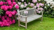Eine Bank vor Rhododendren. © fotolia Foto: Debu55y