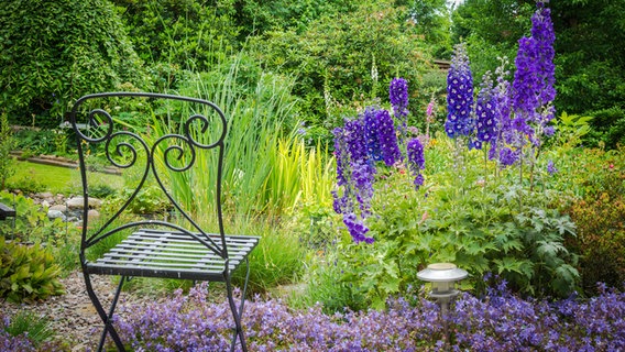 In einem Garten blüht Rittersporn, davor steht ein Stuhl aus Metall. © Fotolia.com Foto: Krawczyk-Foto