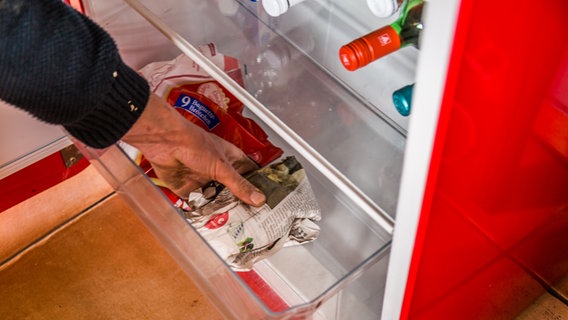 Eine eingewickelte Amaryllis-Zwiebel wird in den Kühlschrank gelegt. © NDR 