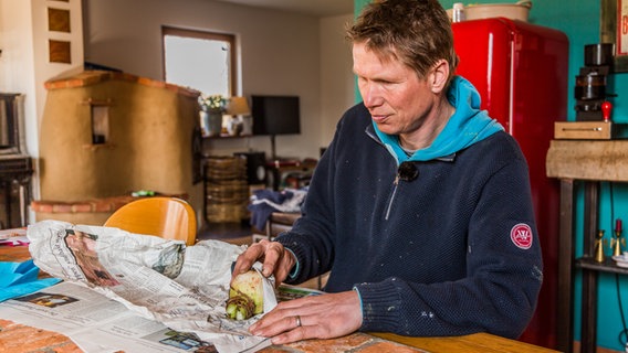 Peter Rasch wickelt eine Amaryllis-Zwiebel in Zeitungspapier ein. © NDR 
