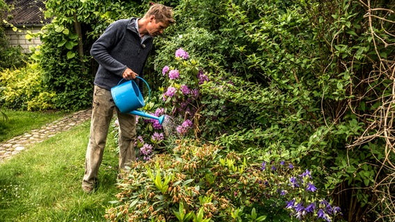 Ein Mann gießt mit einer Kanne Büsche und Sträucher in einem Garten. © NDR Foto: Udo Tanske