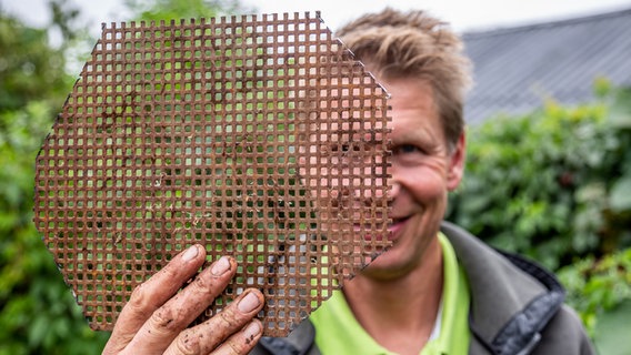 Peter Rasch teilt eine Schmucklilie © NDR Foto: NDR
