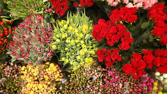 Aufsicht auf diverse Schnittblumen. © Colourbox 
