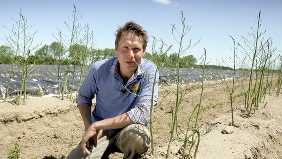 Gardener Peter Rasch in an asparagus field.  Photo: Udo Tanske