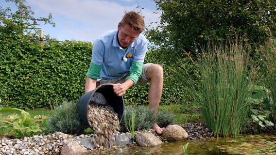 Der Gartenexperte Peter Rasch füllt Kiesel in einem Teich nach. © NDR Foto: Udo Tanske