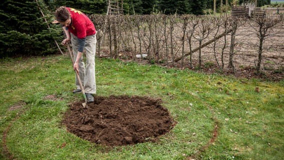 Mann gräbt mit einem Spaten eine kreisrunde Rasenfläche um.  Foto: Udo Tanske