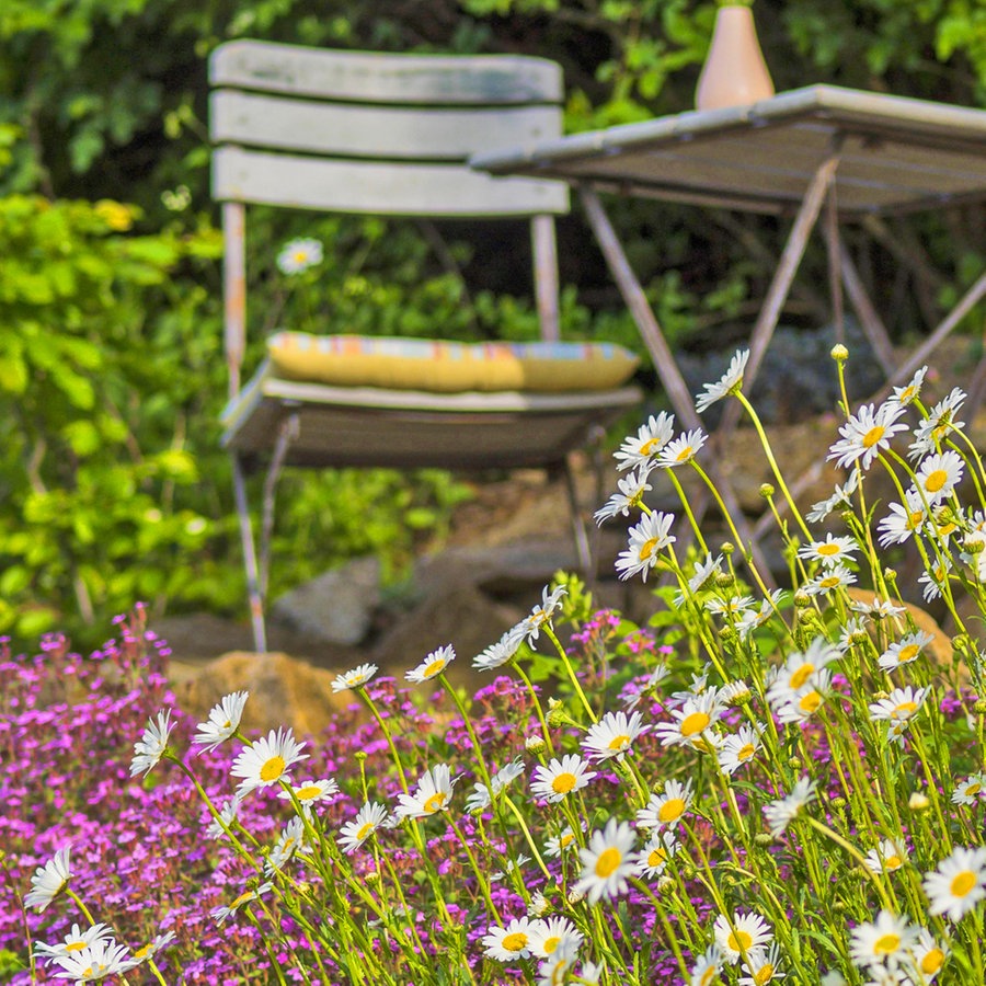 Naturgarten So Einfach Ist Okologisches Gartnern Ndr De Ratgeber Garten