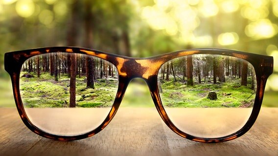 Durchsicht durch eine Brille auf einen Wald © fotolia.com Foto: lassedesignen