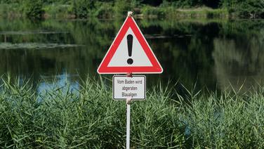 Ein Schild "Vom Baden wird abgeraten - Blaualgen" steht am Hohnsensee in Niedersachsen. © Picture-Alliance / dpa 