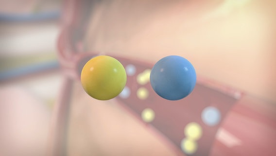 Schematisch Darstellung: gelbes und blaues Kügelchen. © NDR 