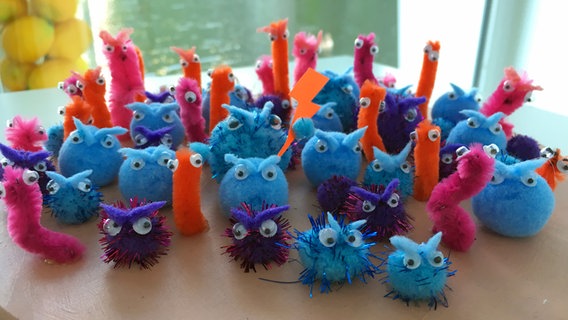 Schlechte Darmbakterien (symbolisiert durch viele kleine wuschelige Monster in verschiedenen Farben, die auf einem Teller sitzen). © NDR/Katja Gundlach Foto: Katja Gundlach