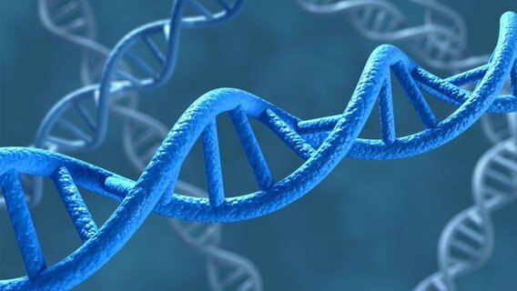 DNA-Strang © fotolia Foto: norman blue