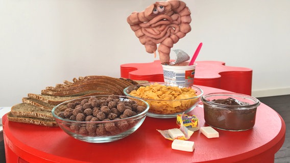 Nougatcreme, Chips, Graubrot und Schokobonbons stehen auf einem roten Tisch, daneben ein Darm-Modell mit besorgtem Blick. © NDR Foto: Katja Gundlach