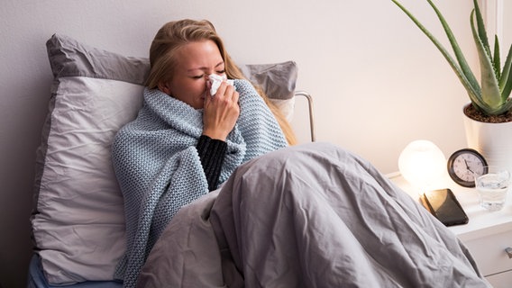 Eine Frau liegt krank im Bett und putzt sich die Nase. © picture alliance Foto: Christin Klose