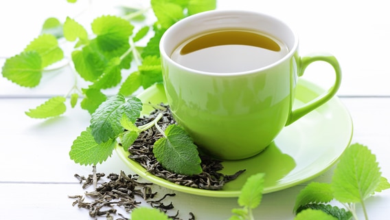 Eine grüne Tasse mit Tee steht auf einem weißen Blätt, daneben verteilt liegt frische Zitronenmelisse. © Picture Alliance Foto: picture alliance / Shotshop | KMNPhoto