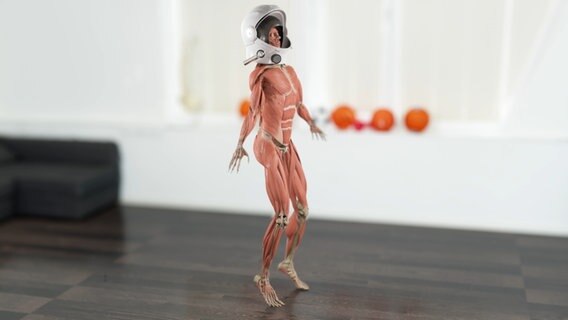 Schematische Darstellung: Skelett mit Muskeln und Astronautenhelm hüpft. © NDR 