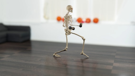 Schematische Darstellung: laufendes Skelett mit Hanteln in der Hand. © NDR 