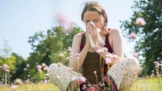 Eine junge Frau sitzt in einer blühenden Wiese und putzt sich die Nase. © picture alliance / dpa Themendienst Foto: Christin Klose