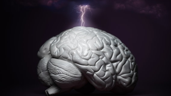 Modell eines Gehirns, in das ein Blitz einschlägt. © Colourbox Foto: Sergey Novikov