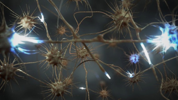 Schematische Darstellung: Nervenzellen mit Blitzen dazwischen. © NDR 