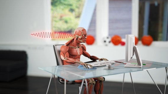 Schematische Darstellung: Mensch vor dem Computer, Schalenwellen vorm Ohr. © NDR 