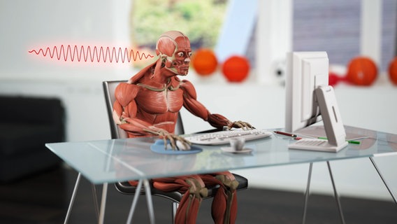 Schematische Darstellung: Mensch vor dem Computer, Schalenwellen vorm Ohr. © NDR 