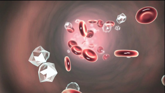 schematische Darstellung von Zucker und Blutkörperchen  