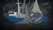 Fischerboot und Netz voller Fische (Cartoonzeichnung) © NDR 
