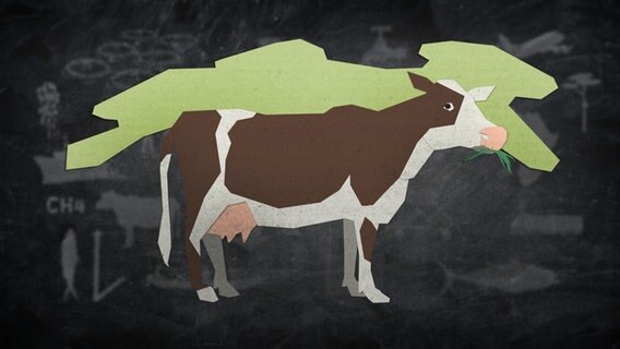 Eine Kuh vor grünem Hintergrund und chemischen Formeln (Cartoonzeichnung) © NDR 