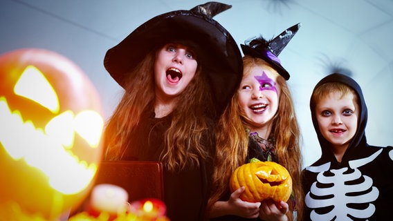 Kindern in Kostümen feiern Halloween. © Colourbox Foto: Pressmaster