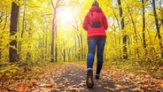 Frau wandert im herbstlichen Wald. © fotolia Foto: ruslan_khismatov