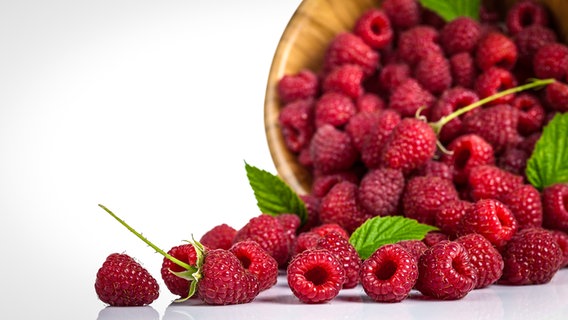 Himbeeren aus einer Schale gekippt. © Colourbox Foto: -