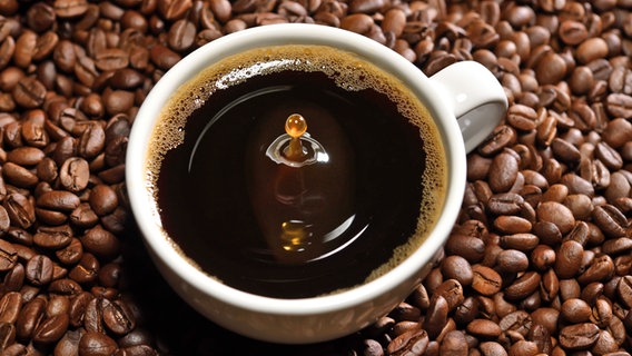 Eine Tasse Kaffee vor Kaffeebohnen © Colourbox 