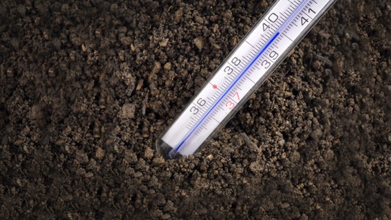 Ein Fieberthermometer mit hoher Temperaturanzeige steckt im Erdboden © picture alliance Foto: imageBROKER