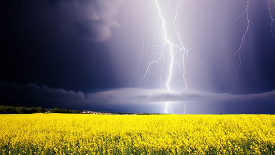 Gewitterwolke und Blitz über Landschaft © Colourbox Foto: -