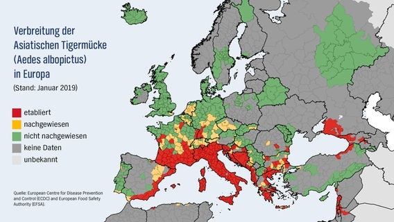 Grafik zur Verbreitung der Asiatischen Tigermücke (Aedes albopictus) in Europa. © ECDC, EFSA 2019 