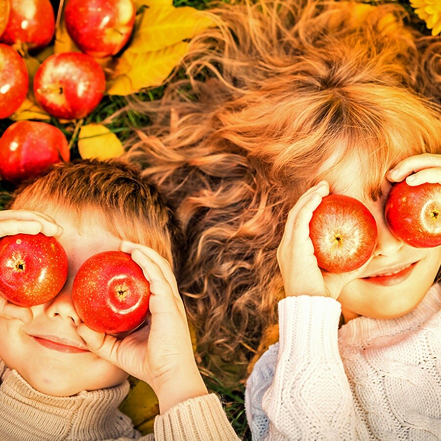 Kinder liegen im Laub und halten Äpfel vor ihre Augen. © Fotolia.com Foto: Sunny studio