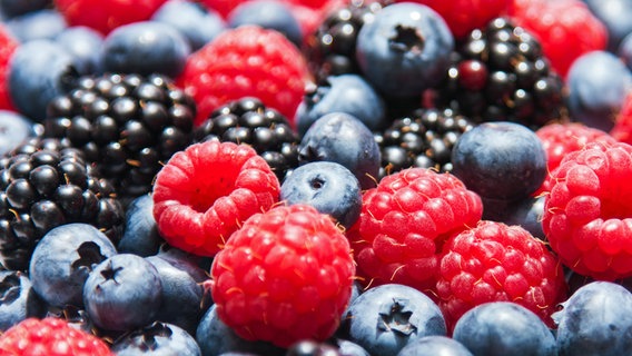Frische Brombeeren, Heidelbeeren und Himbeeren in Nahaufnahme. © fotolia Foto: Sandy Schulze