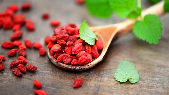 Gojibeeren auf einem Holzlöffel © Fotolia.com Foto: Printemps