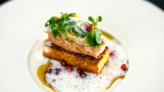 Butter-Brioche mit Kaninchen-Rücken, Lardo-Schaum und Feldsalat auf einem Teller angerichtet. © Joshua Stolz / solisTV 